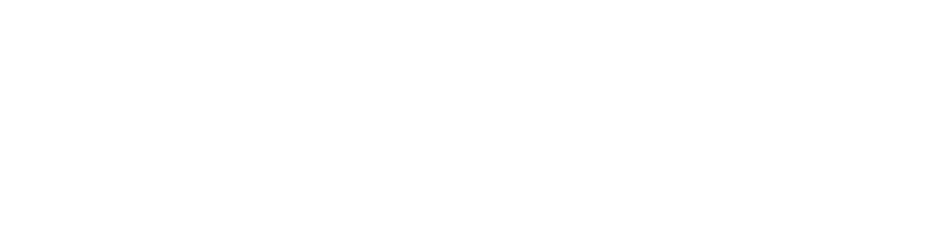 Arrow Head Logo